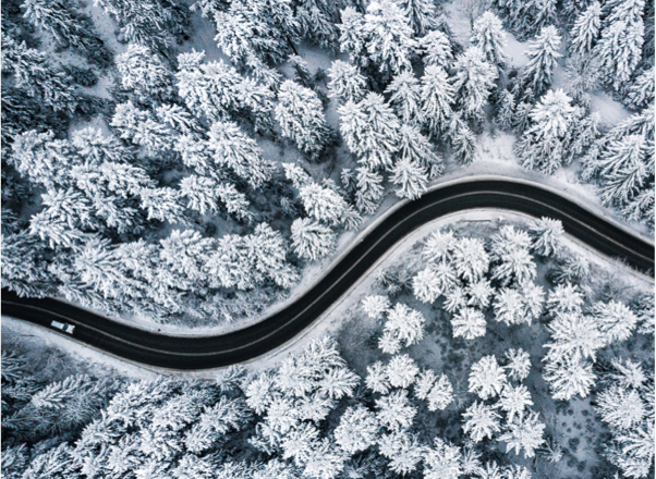 Frost and salt resistant concrete